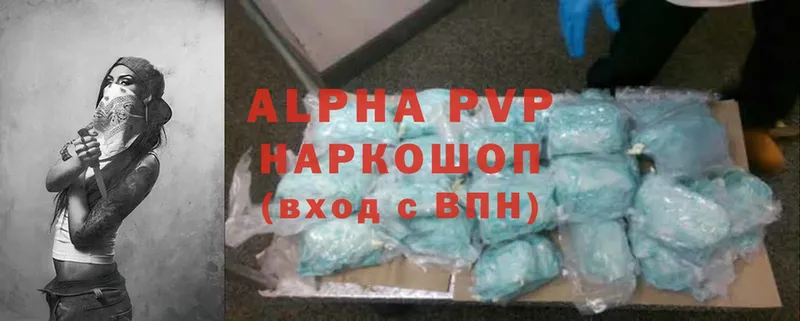 Alfa_PVP СК  Западная Двина 